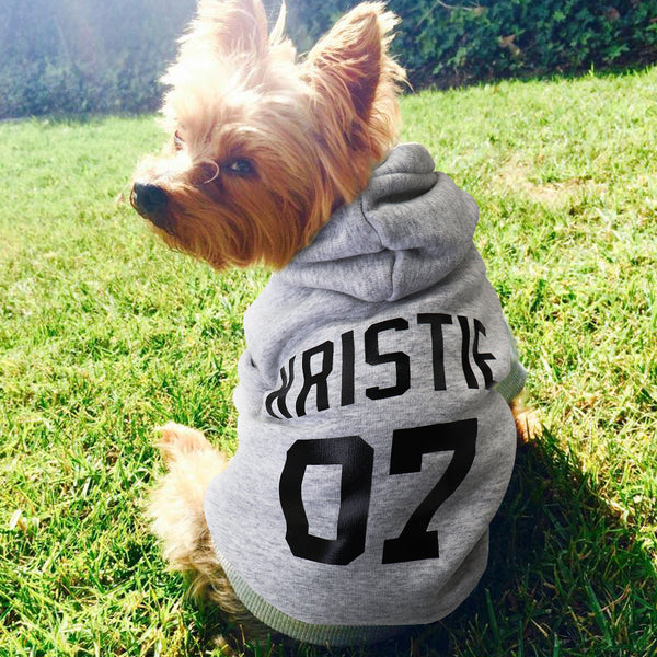 Load image into Gallery viewer, Fan Club - Personalised Dog Hoodie