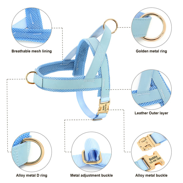 Load image into Gallery viewer, Sleek Pup - 2 Piece Set - Leash & Personalised Harness