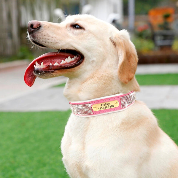 Load image into Gallery viewer, Hollywood Lights - Personalised Collar
