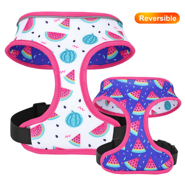 Load image into Gallery viewer, Reverse It Harness