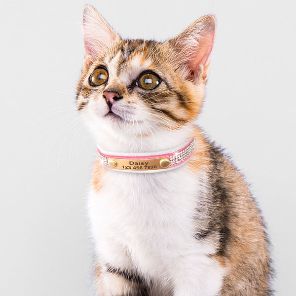 Load image into Gallery viewer, Hollywood Lights - Personalised Collar