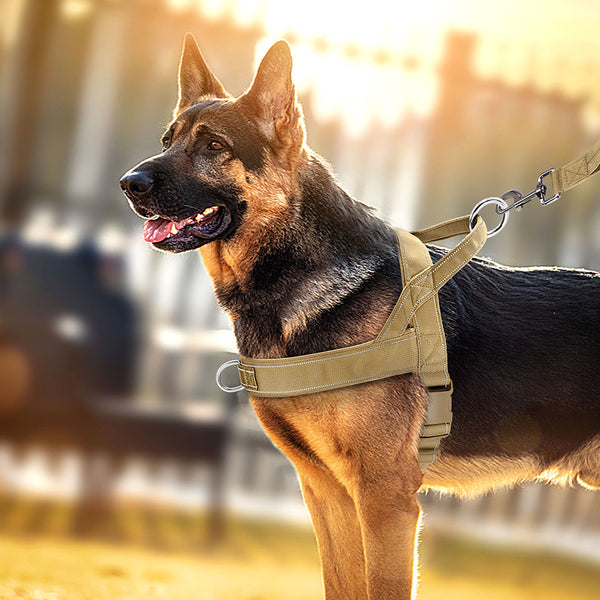 Load image into Gallery viewer, Special Forces Slim Line Dog Harness