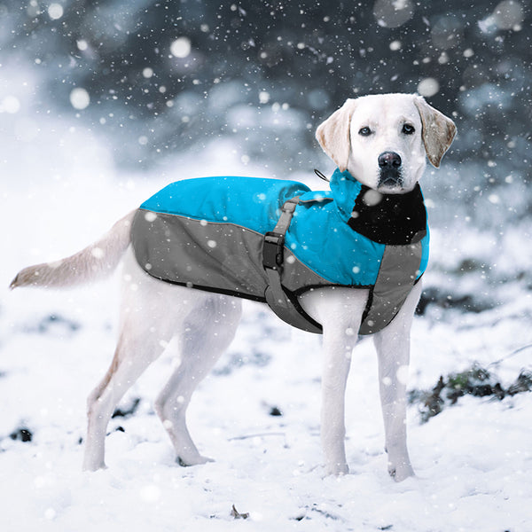 Load image into Gallery viewer, Wind Breaker Dog Jacket