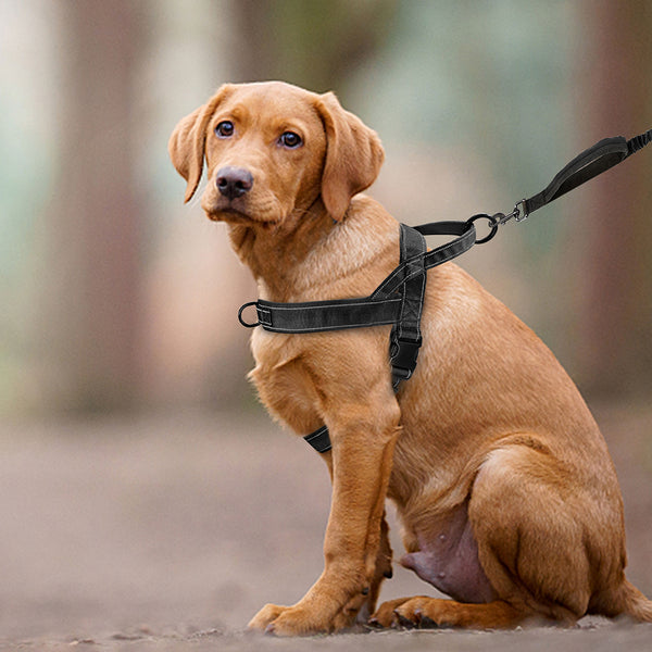 Load image into Gallery viewer, Special Forces Slim Line Dog Harness
