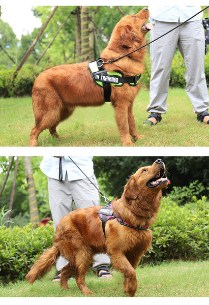 Load image into Gallery viewer, ID Patch Pup - Personalised Harness