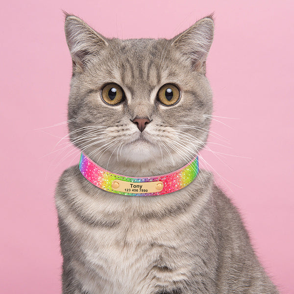 Load image into Gallery viewer, Sunset Boulevard - Personalised Collar