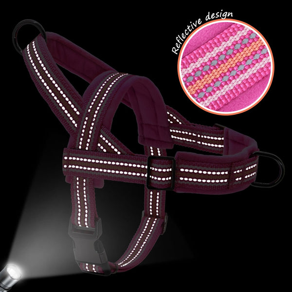 Load image into Gallery viewer, Friendly Harness