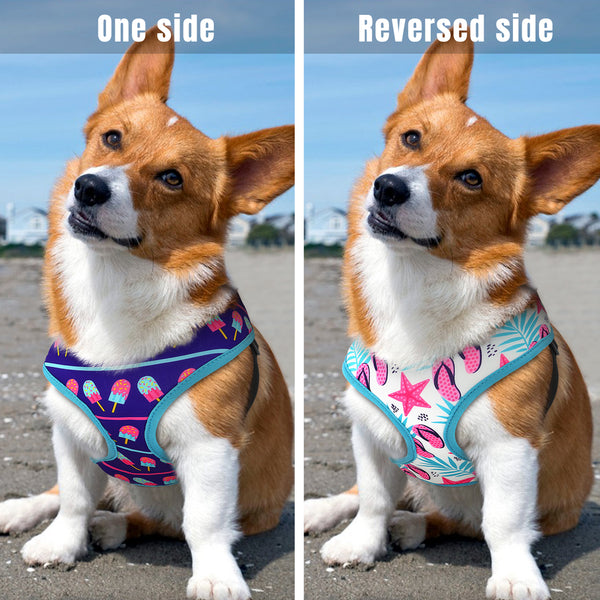 Load image into Gallery viewer, Reverse It Harness