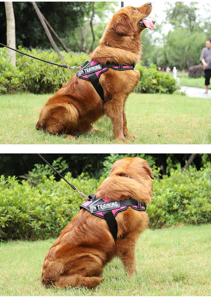 Load image into Gallery viewer, ID Patch Pup - Personalised Harness