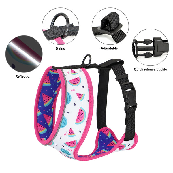 Load image into Gallery viewer, Reverse It Harness