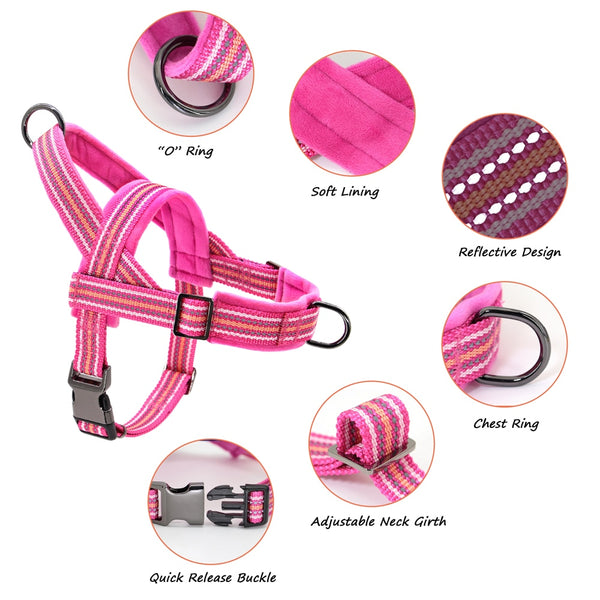 Load image into Gallery viewer, Friendly Harness