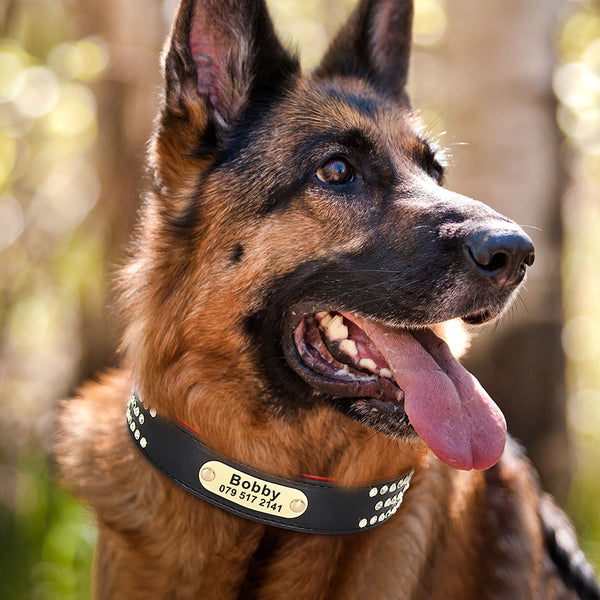Load image into Gallery viewer, Diamonds and Pearls - Personalised Collar