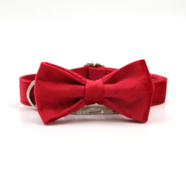 Load image into Gallery viewer, Luxury Velvet Crush Red - Leash, Poop Bag Holder & Personalised Collar
