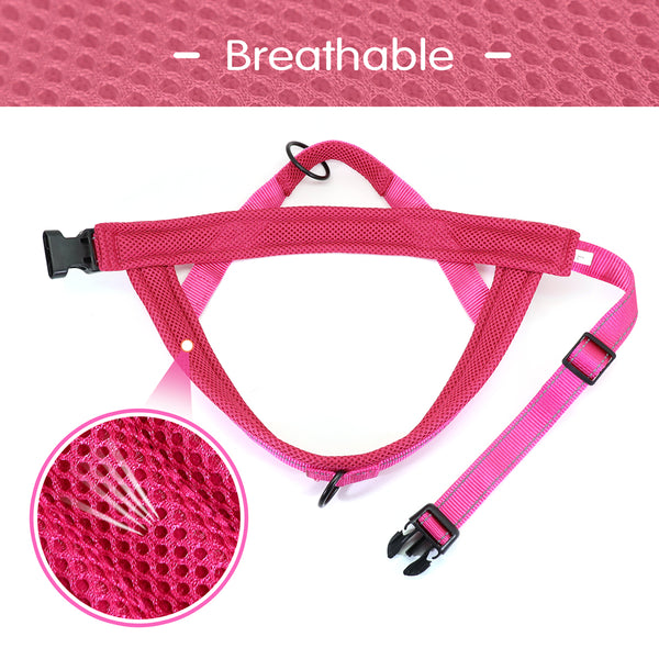 Load image into Gallery viewer, Friendly Halt Harness