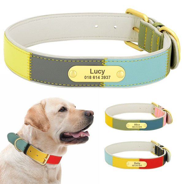 Load image into Gallery viewer, Patch - Personalised Collar