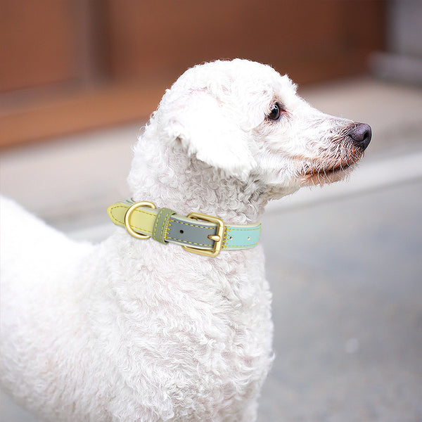 Load image into Gallery viewer, Patch - Personalised Collar