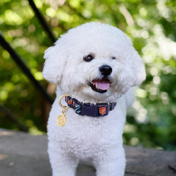 Load image into Gallery viewer, Orient - Personalised Collar