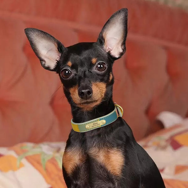 Load image into Gallery viewer, Patch - Personalised Collar