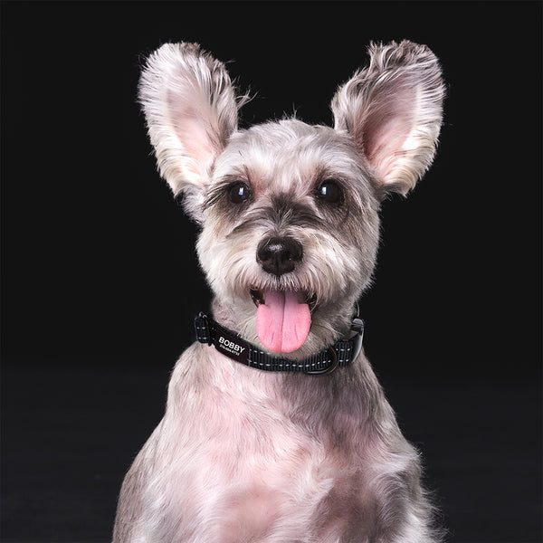 Load image into Gallery viewer, Style Line Print - Personalised Collar