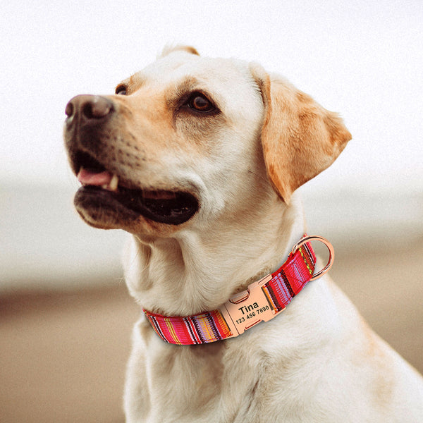 Load image into Gallery viewer, Nepal Trek - Personalised Collar