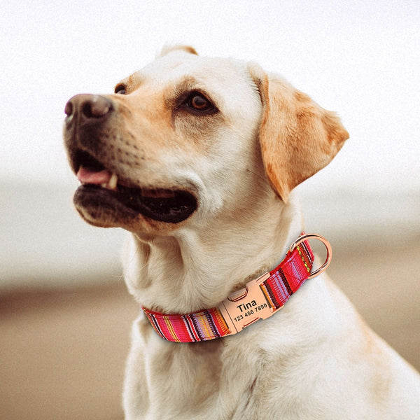 Load image into Gallery viewer, Nepal Trek - Personalised Collar