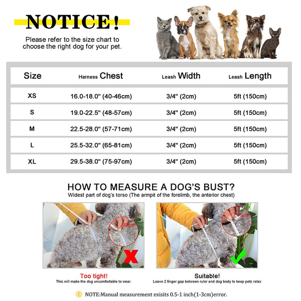 Load image into Gallery viewer, Sleek Pup - 2 Piece Set - Leash & Personalised Harness