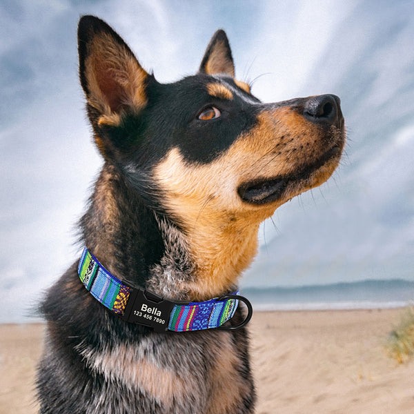 Load image into Gallery viewer, Nepal Trek - Personalised Collar