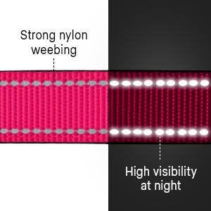 Load image into Gallery viewer, Coast Line Remix - Personalised Collar