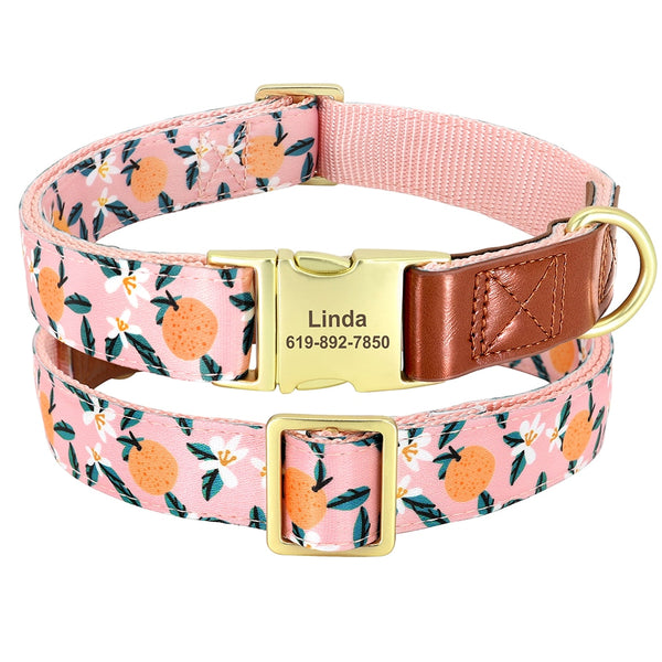 Load image into Gallery viewer, Colour Burst - Personalised Collars