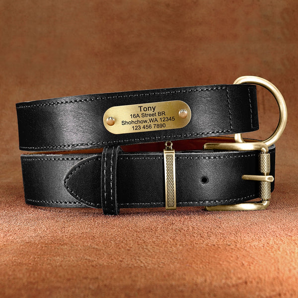 Load image into Gallery viewer, Diesel Leather - Leash & Personalised Collar