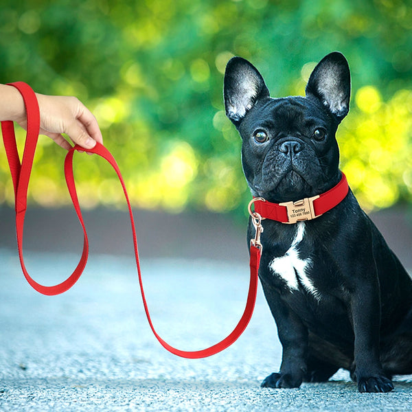 Load image into Gallery viewer, Sleek Pup Leash