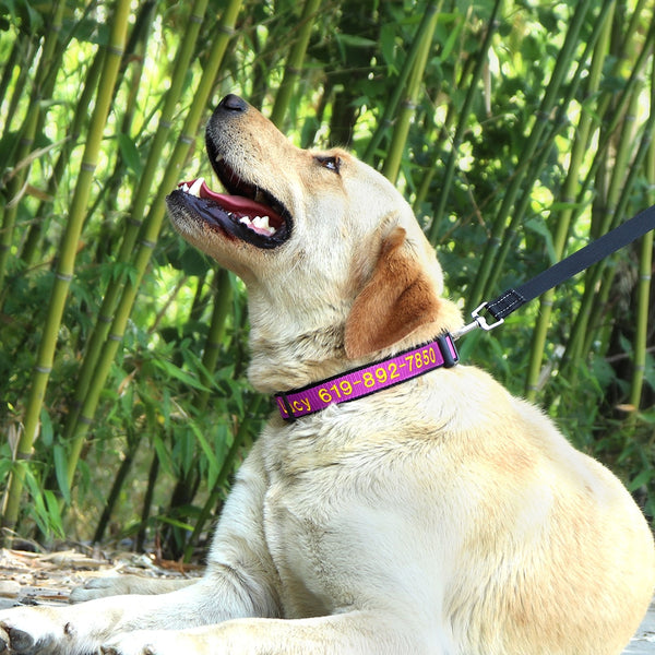 Load image into Gallery viewer, Pup Threads - Personalised Collar