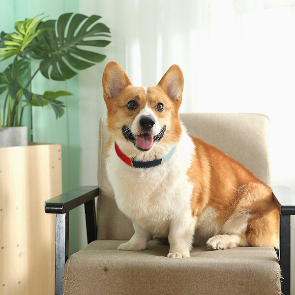 Load image into Gallery viewer, Patch - Personalised Collar