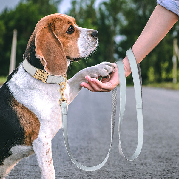 Load image into Gallery viewer, Sleek Pup Leash