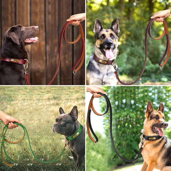 Load image into Gallery viewer, Diesel Leather - Leash & Personalised Collar