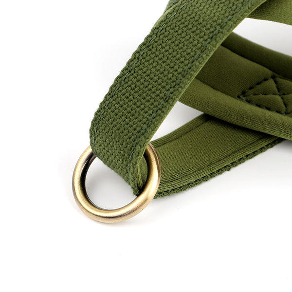 Load image into Gallery viewer, King Inspector - 3 Piece Set - Harness, Leash & Personalised Collar