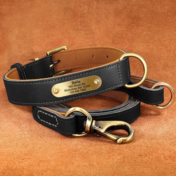 Load image into Gallery viewer, Diesel Leather - Leash & Personalised Collar
