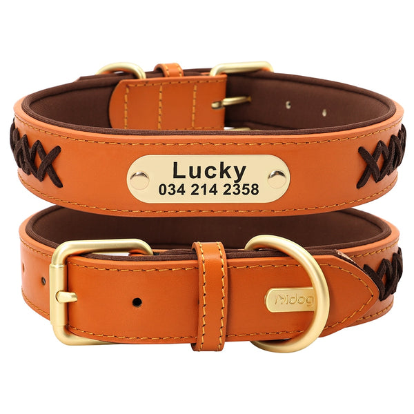 Load image into Gallery viewer, Colour Plait Gold Limited - 2 Piece Set - Leash & Personalised Collar