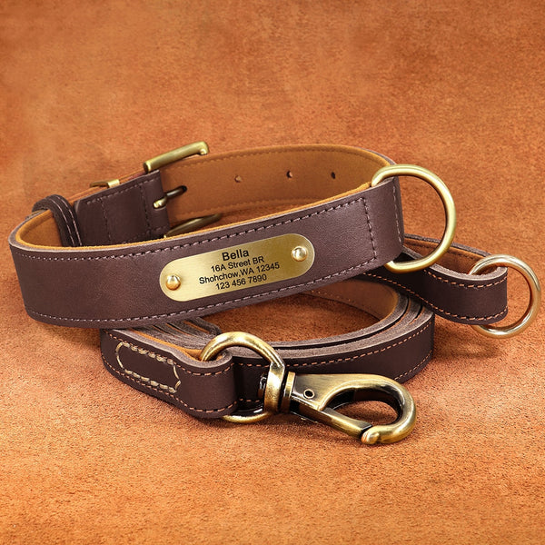 Load image into Gallery viewer, Diesel Leather - Leash & Personalised Collar