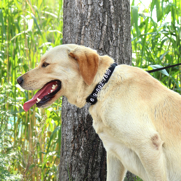 Load image into Gallery viewer, Pup Threads - Personalised Collar