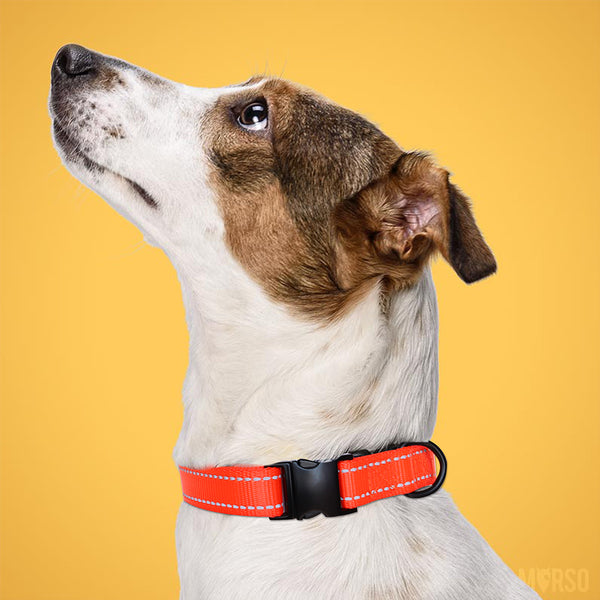 Load image into Gallery viewer, Style Line Print - Personalised Collar