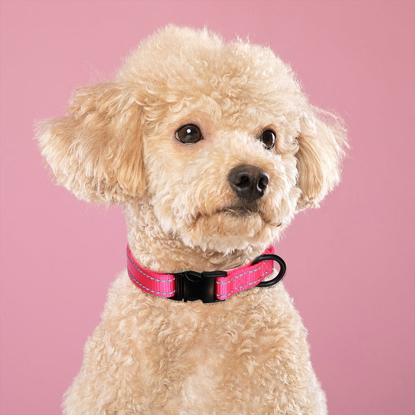 Load image into Gallery viewer, Style Line Print - Personalised Collar