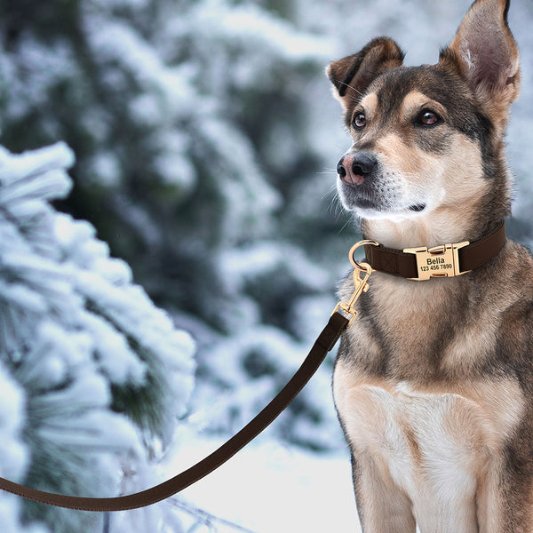 Load image into Gallery viewer, Sleek Pup Leash