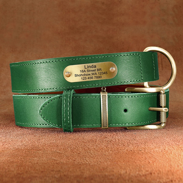 Load image into Gallery viewer, Diesel Leather - Leash & Personalised Collar
