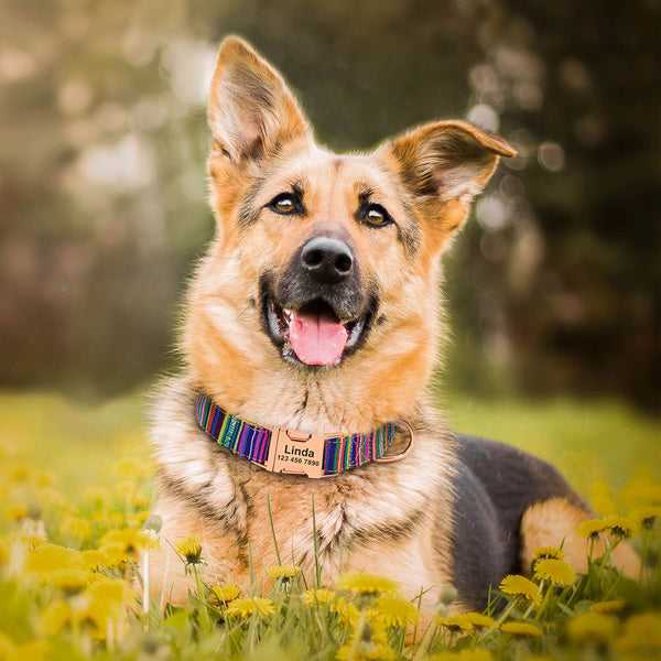 Load image into Gallery viewer, Nepal Trek - Personalised Collar