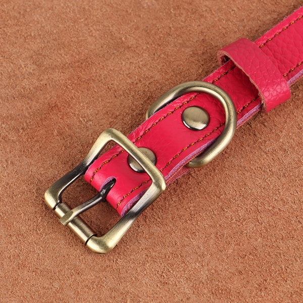 Load image into Gallery viewer, Satin Leather - Personalised Collar