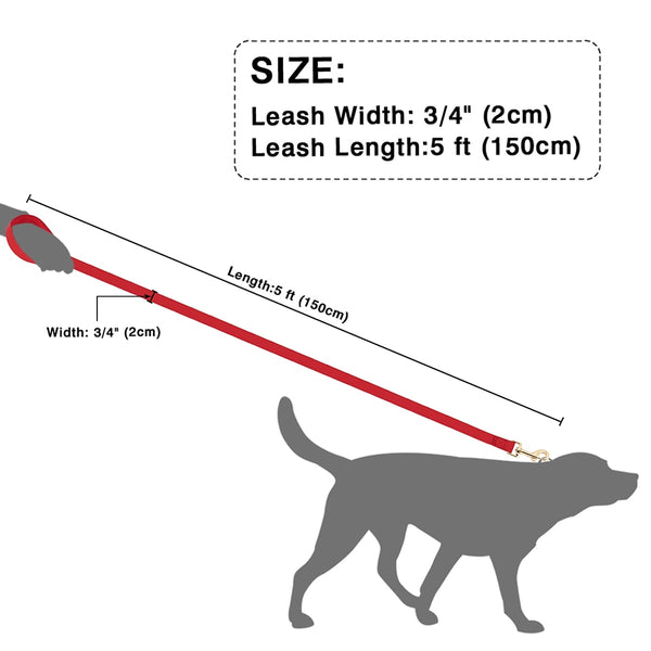 Load image into Gallery viewer, Sleek Pup Leash