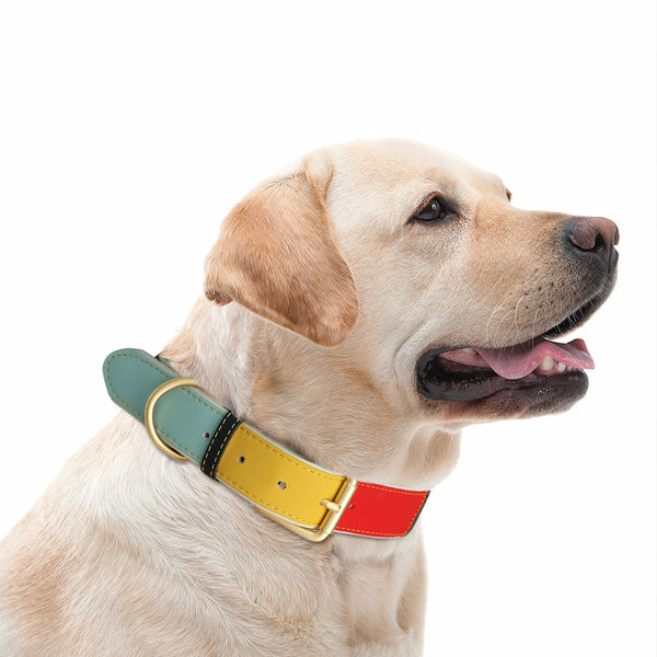 Load image into Gallery viewer, Patch - Personalised Collar