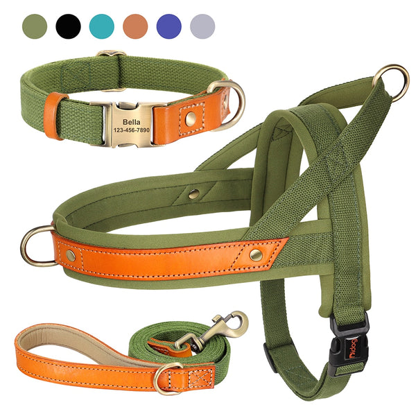 Load image into Gallery viewer, King Inspector - 3 Piece Set - Harness, Leash & Personalised Collar
