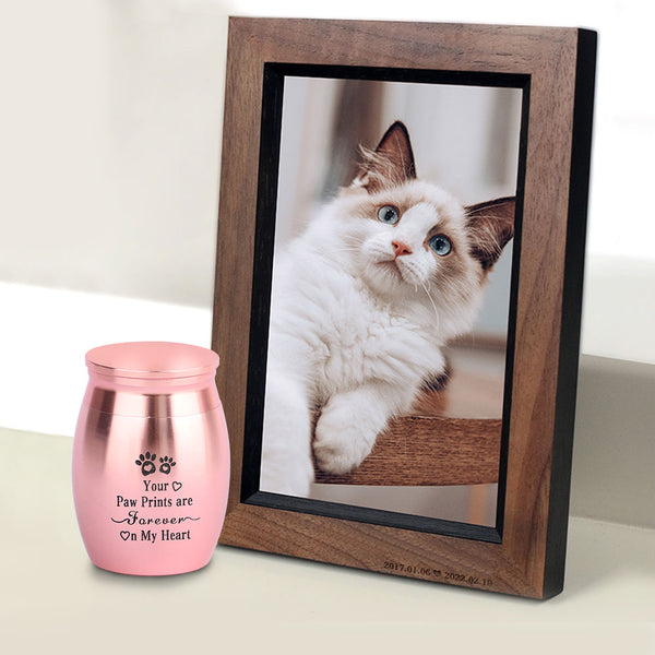 Load image into Gallery viewer, Angel Pet Urn